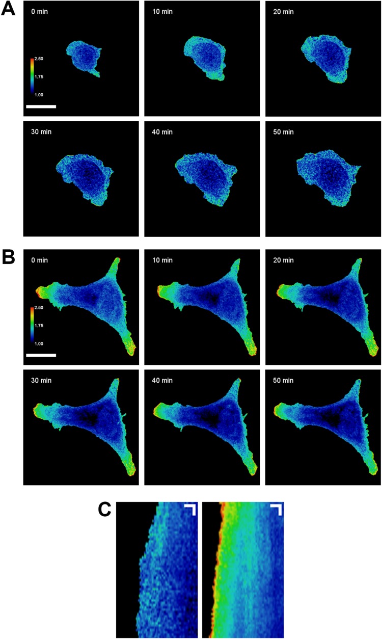 FIGURE 1: