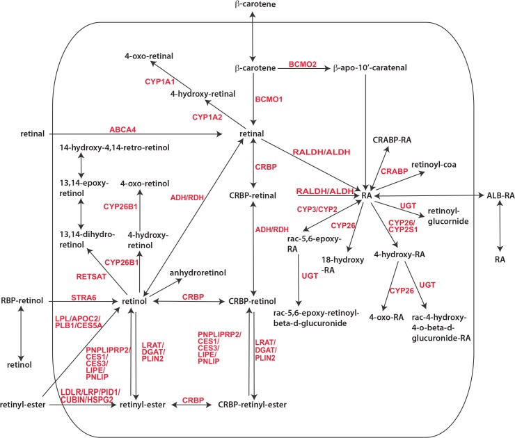 Fig 1