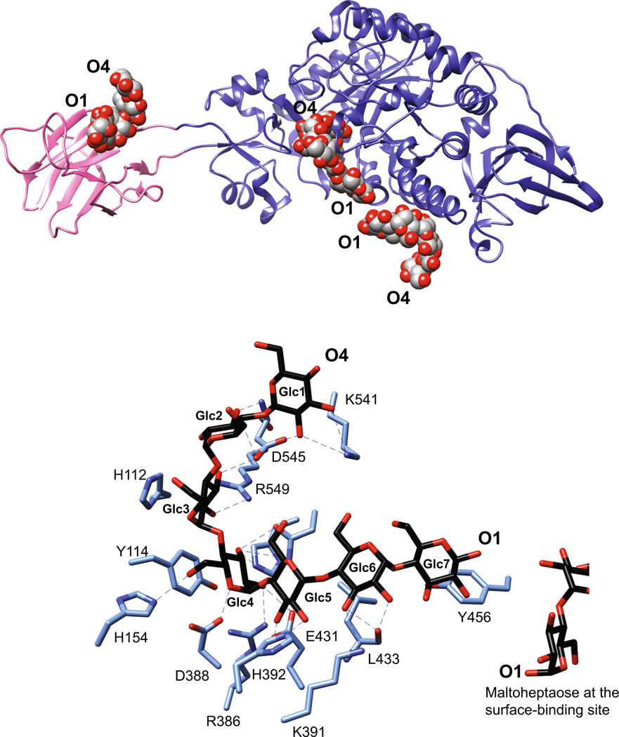 Fig. 3