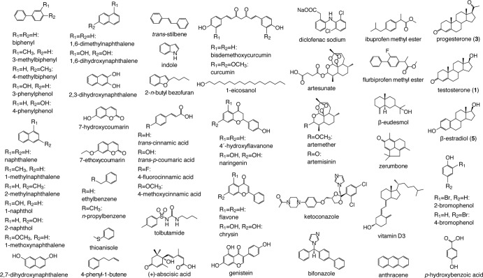 FIG 1