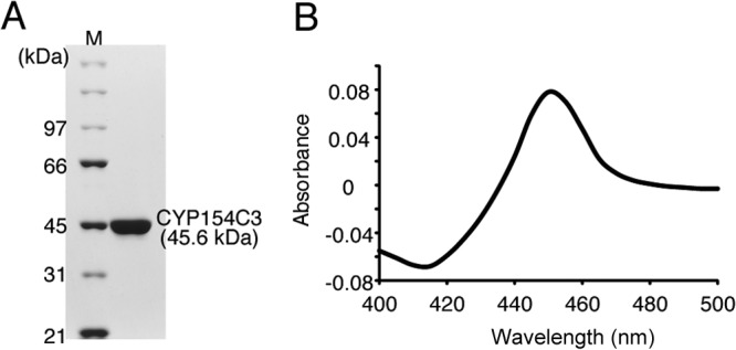 FIG 6