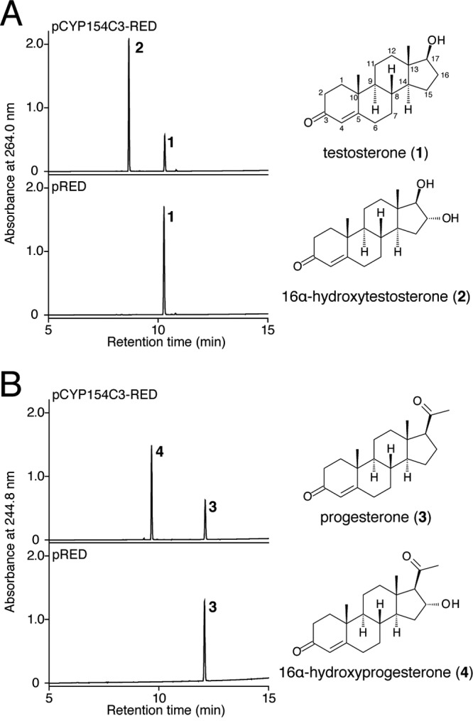 FIG 3