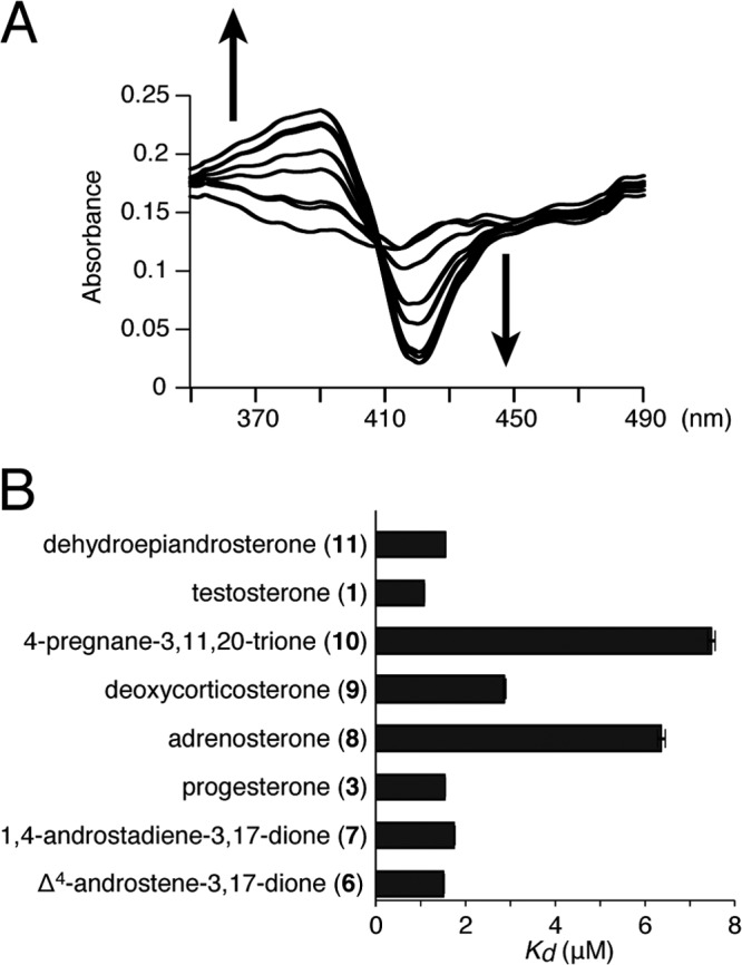 FIG 7