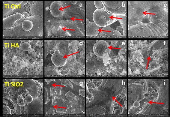 Fig. 10