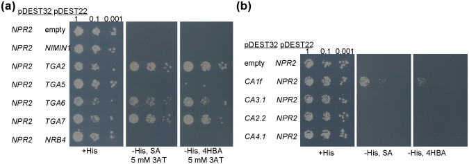 Fig 4