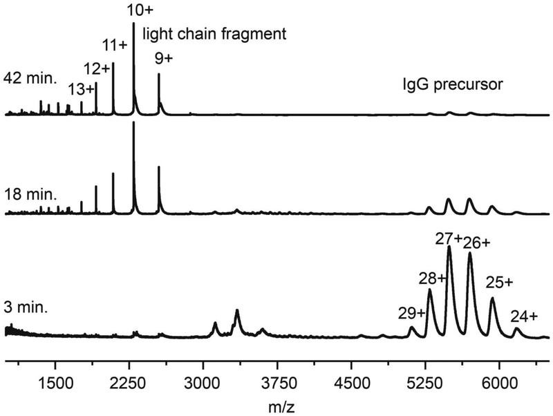 Figure 2: