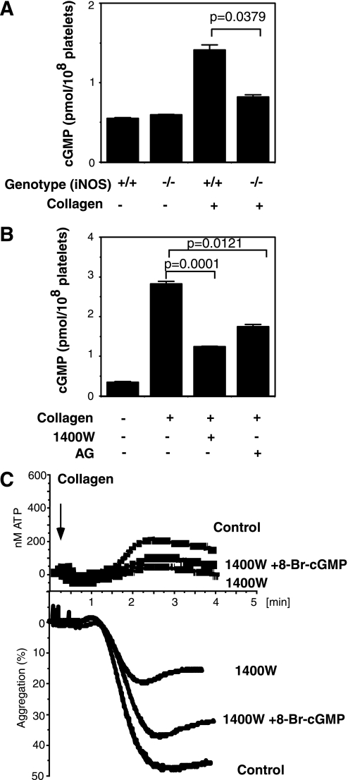 FIGURE 7.