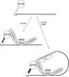 FIG. 7.