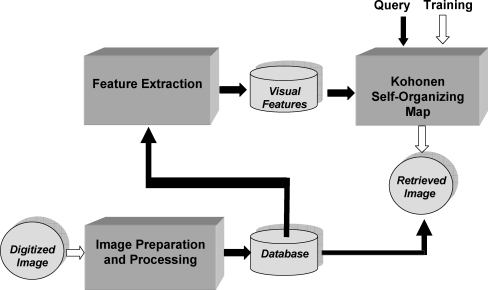 Fig. 2.