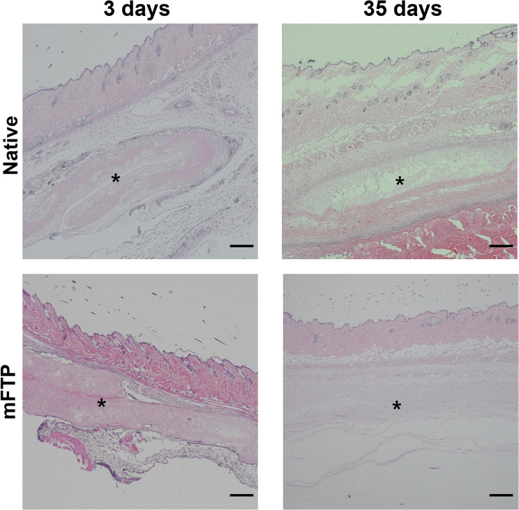 Fig. 7