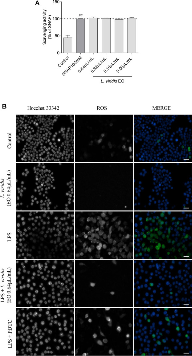 FIGURE 3