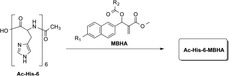 Fig. 1