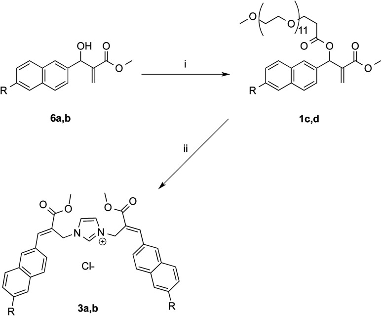 Scheme 5