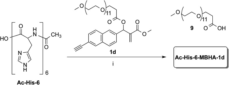 Scheme 6