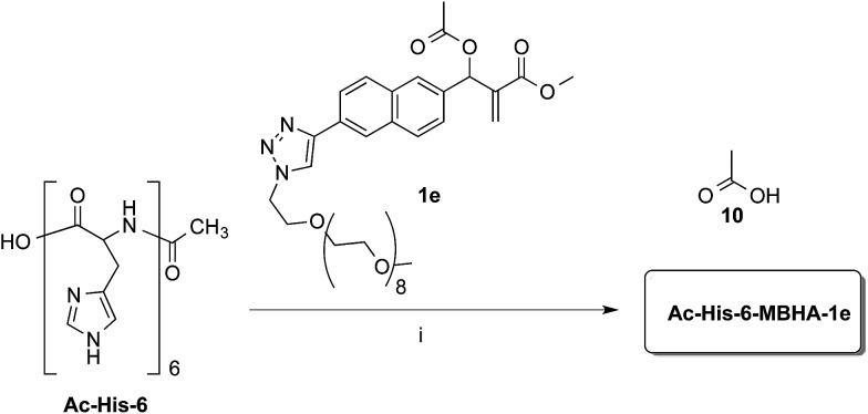 Scheme 8