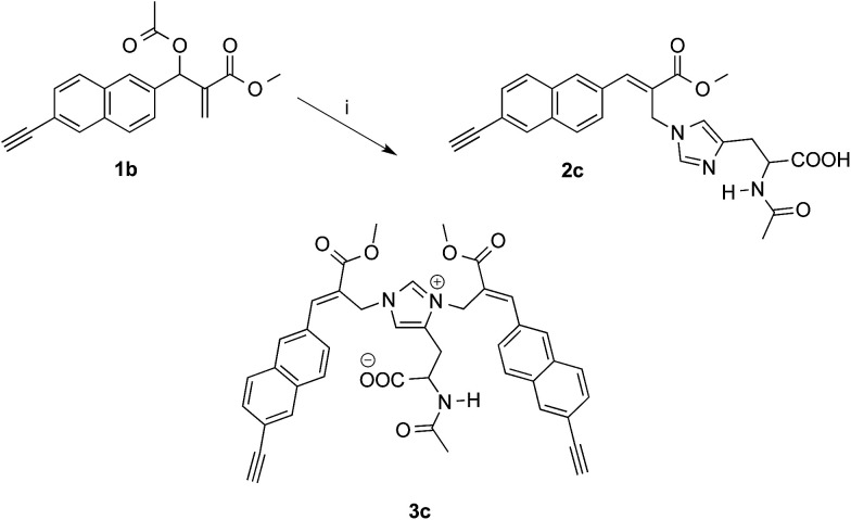 Scheme 4