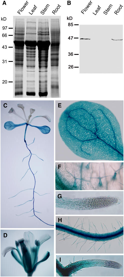 Figure 5.