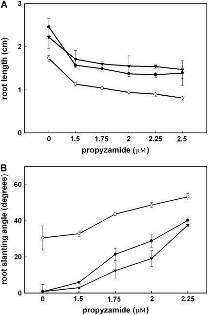 Figure 9.