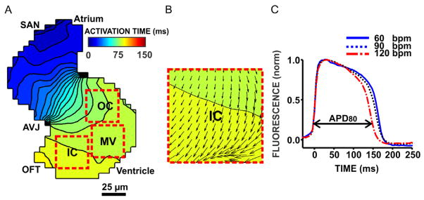 Fig. 3