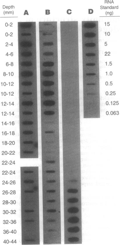 graphic file with name pnas01143-0519-a.jpg