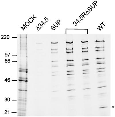 FIG. 5