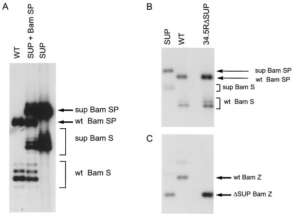 FIG. 4