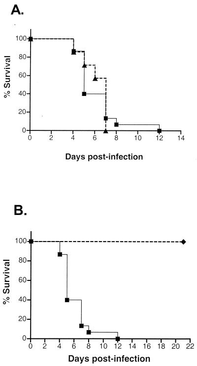 FIG. 6