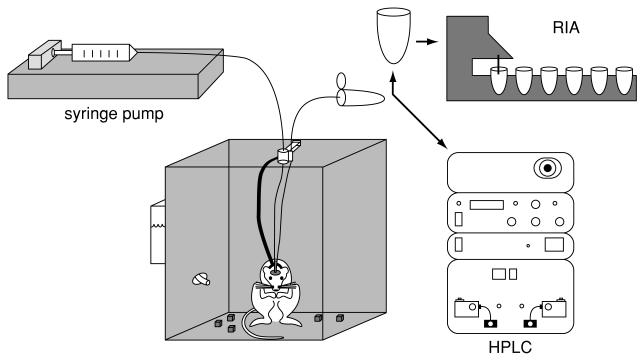 Figure 7.2.3