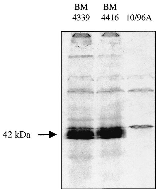 FIG. 6.