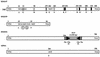 FIG. 2.