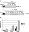 Fig. 4