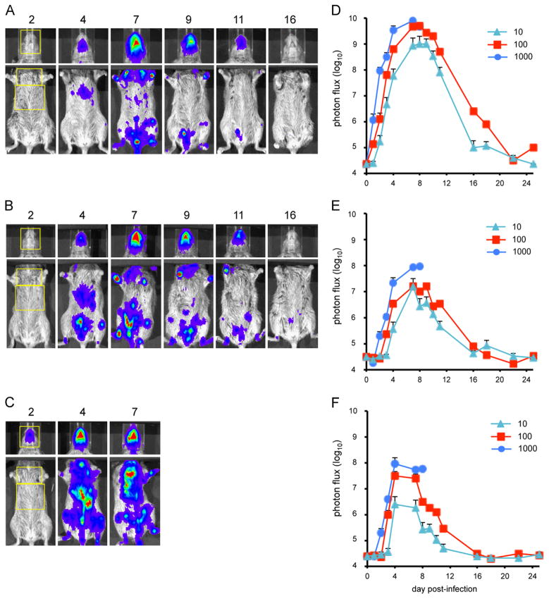 Fig. 4