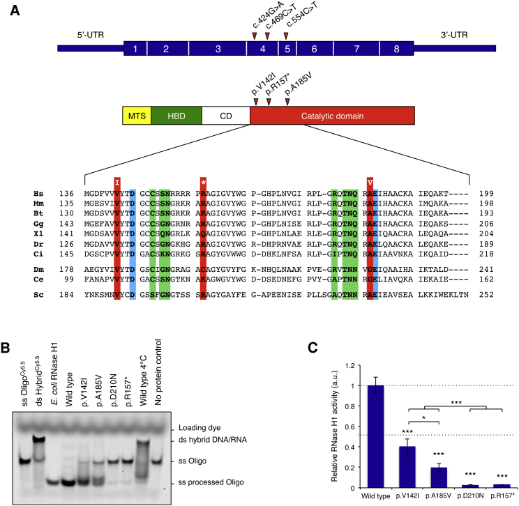 Figure 2