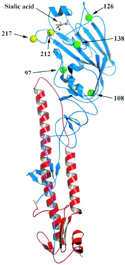 FIG. 7.