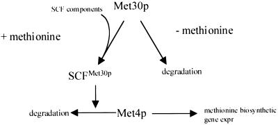 FIG. 8