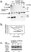 FIG. 6