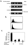 FIG. 2