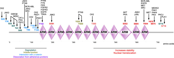 Figure 5