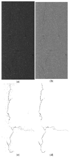 Figure 23