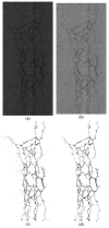 Figure 24