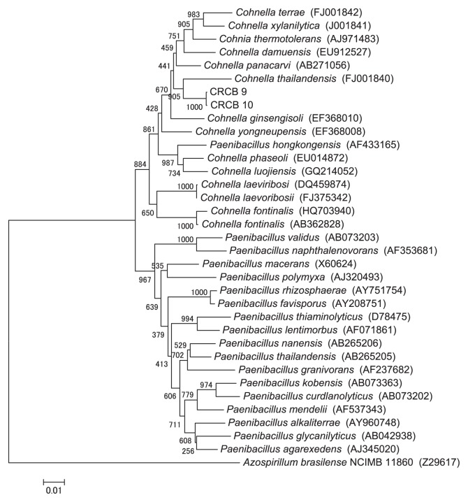 Fig. 3