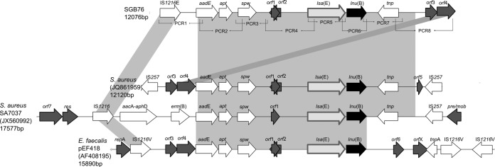 FIG 1