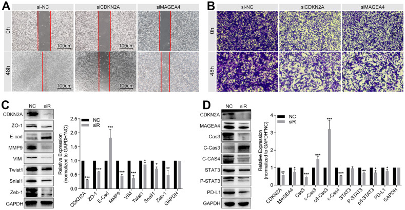 Figure 14