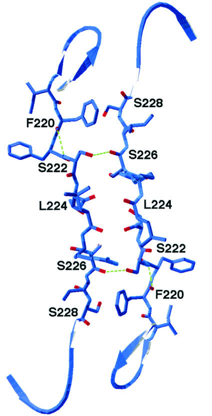 FIG. 10.