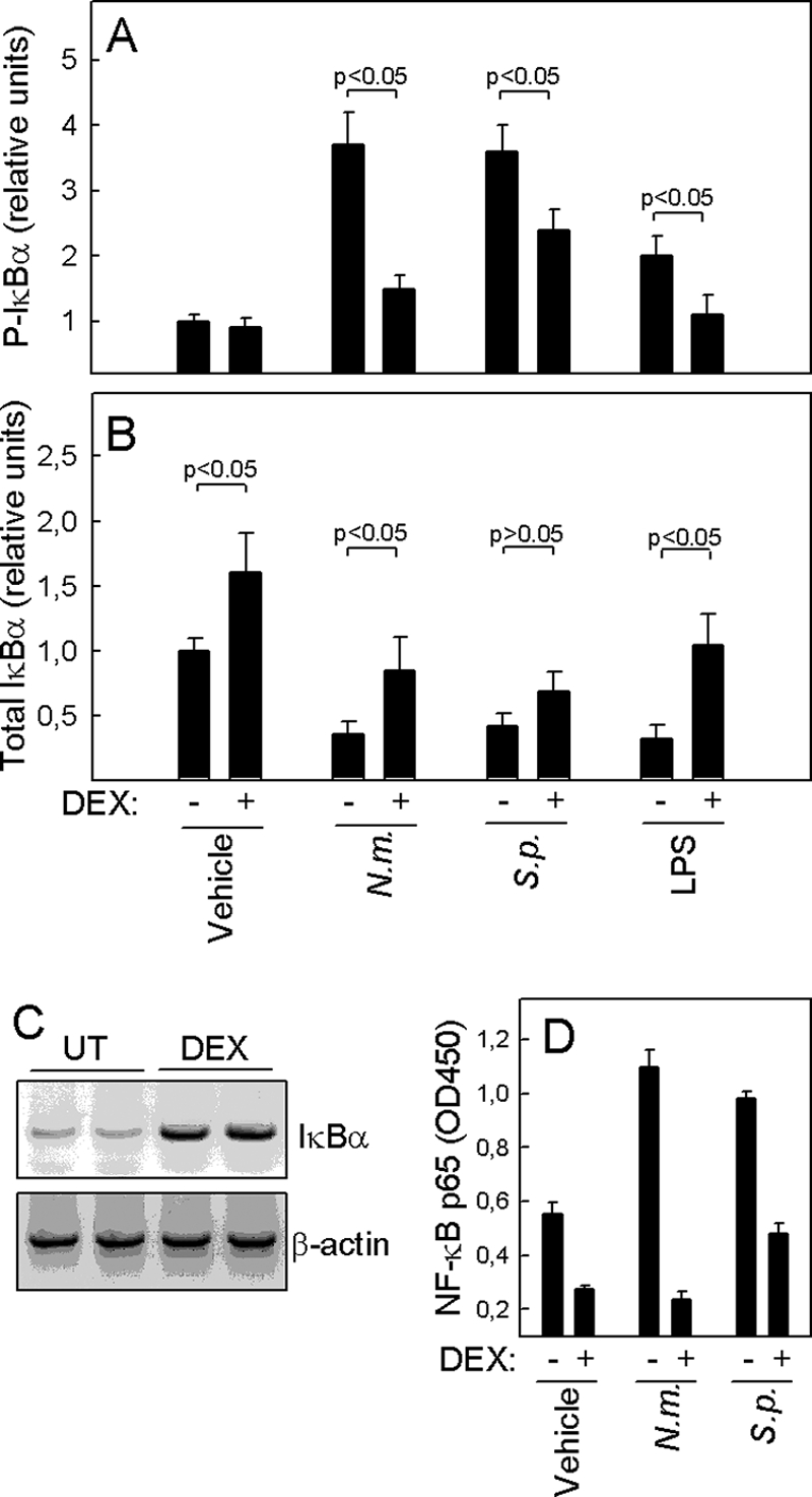 FIG. 4.