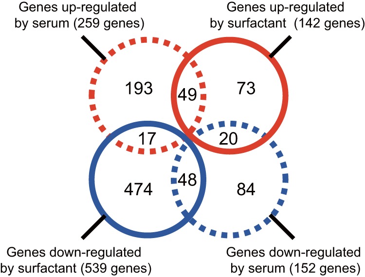 FIG 1