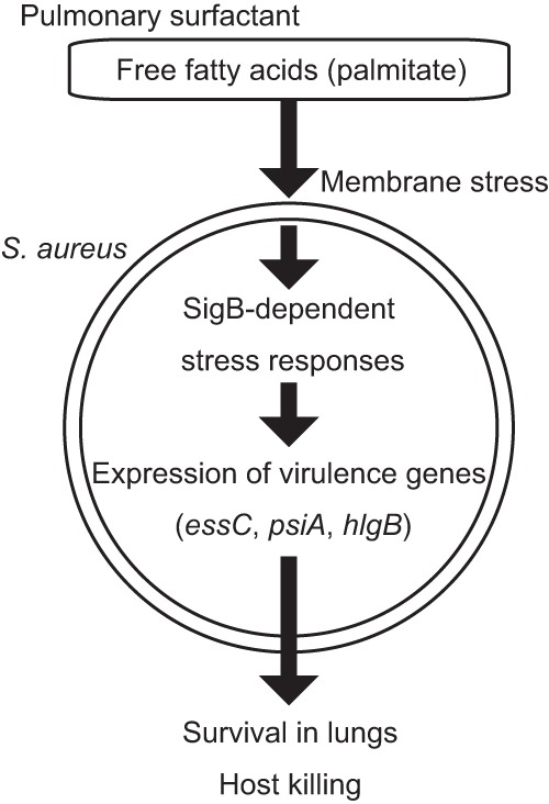 FIG 7