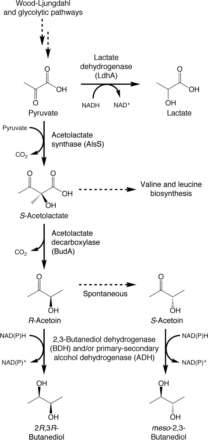 FIG 1