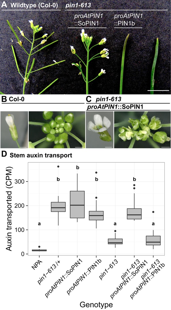 Figure 4.