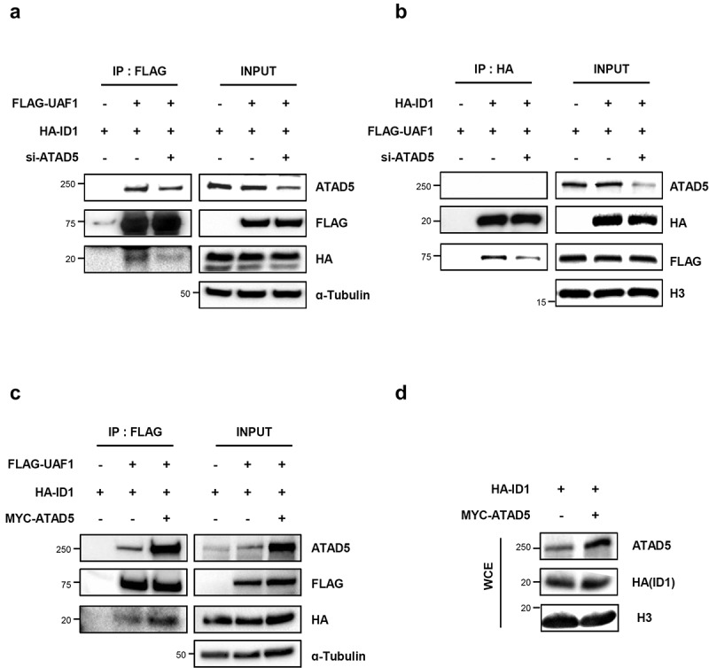 Figure 6.